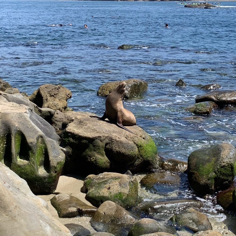 Meet your Posher, Erin